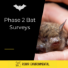 Bat Activity Survey - Moderate Potential 2 x Visits