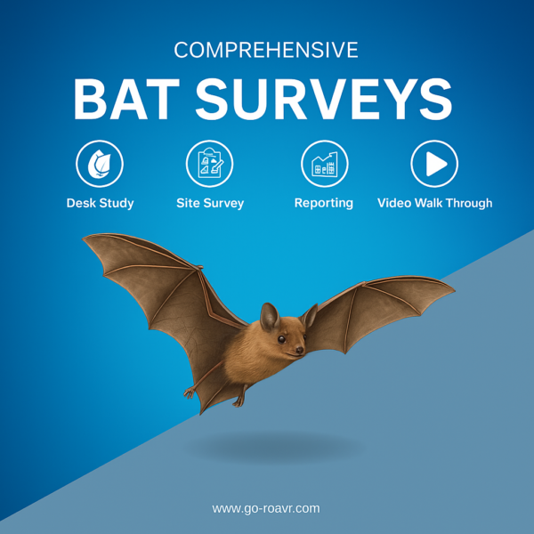 bat survey for planning