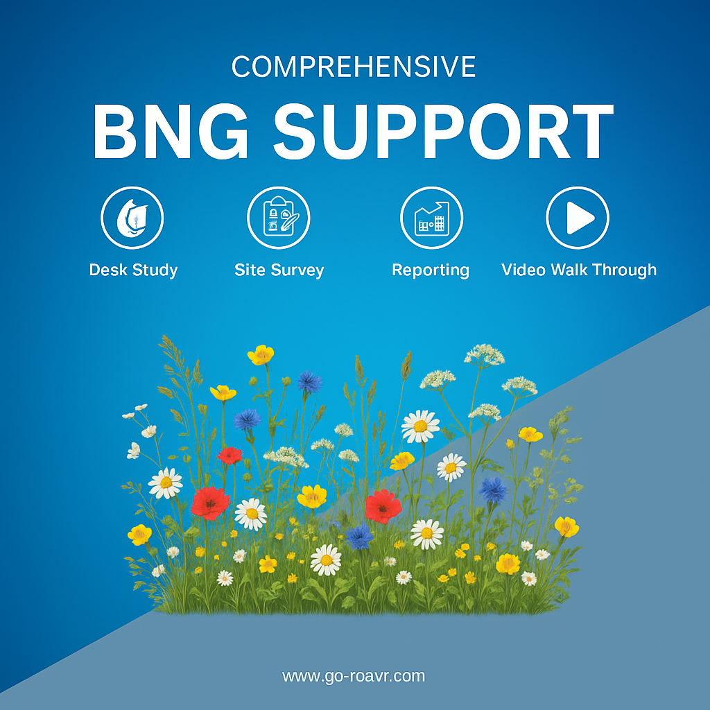 BNG surveys for planning